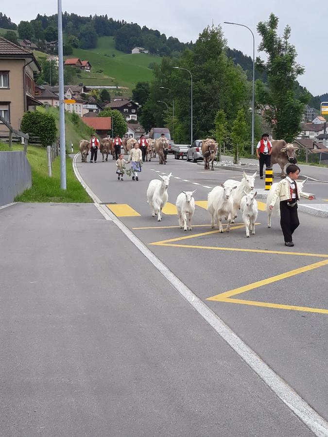 Klein Aber Fein Appartement Urnäsch Buitenkant foto